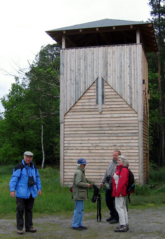 Im Vordergrund: Teilnehmer der Exkursion in die Heide und Teichlandschaft der Oberlausitz; von links H. Kuch, T. Milek, der örtliche NABU Vorsitzende W. Klauke sowie H. Andel